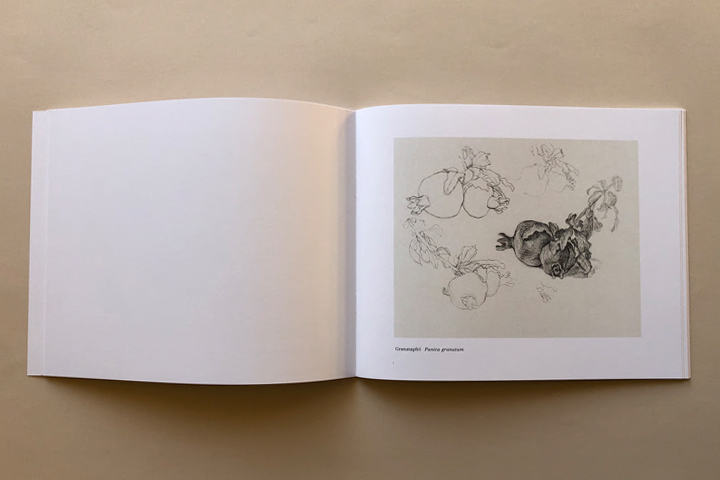 Ein Garten in Herat 2