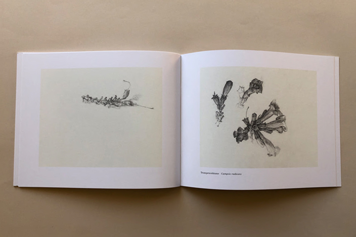 Ein Garten in Herat 4